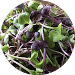 Profile photo of Scott Stewart