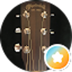 Profile photo of Notaguitarplayer 2018