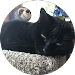 Profile photo of Rhonda Tornes