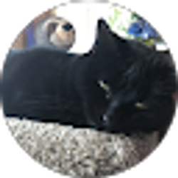 Profile photo of Rhonda Tornes