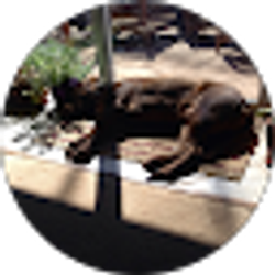Profile photo of Noelle Bridgman-Wile