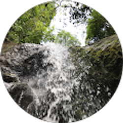 Profile photo of Van Le