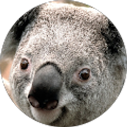 Profile photo of Anthony La Badie