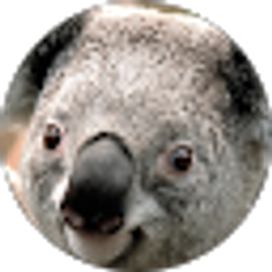 Profile photo of Anthony La Badie