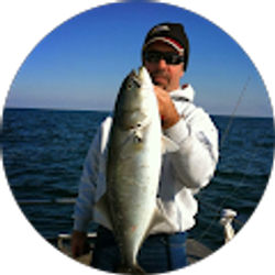 Profile photo of John Folea