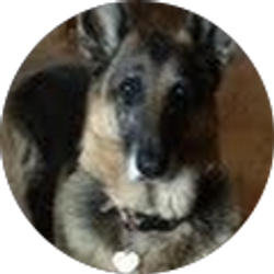 Profile photo of Sue Royston