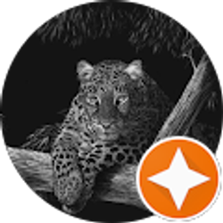 Profile photo of Tor