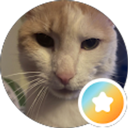 Profile photo of Cynthia Olson