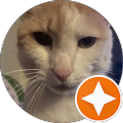 Profile photo of Cynthia Olson