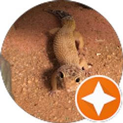 Profile photo of Niah Maldonado