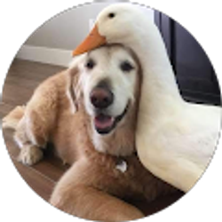 Profile photo of April Leitner