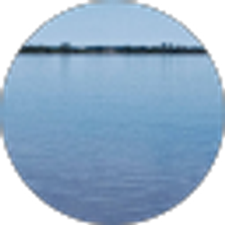 Profile photo of David Nichols