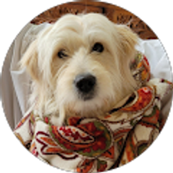 Profile photo of Elaine Dompka