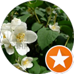 Profile photo of mohamed jabri