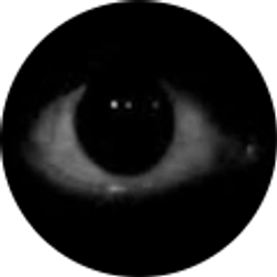 Profile photo of Pilk