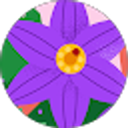 Profile photo of Judy Mecca