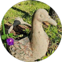 Profile photo of Sheebs Homestead