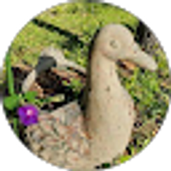 Profile photo of Sheebs Homestead