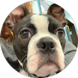 Profile photo of Kathleen Vasilopulos