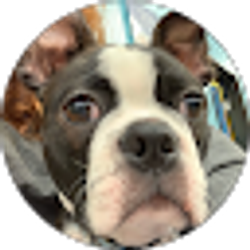 Profile photo of Kathleen Vasilopulos