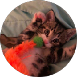 Profile photo of S Lynn