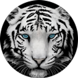 Profile photo of Tracy Molitor