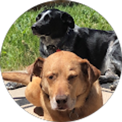 Profile photo of William Huggins