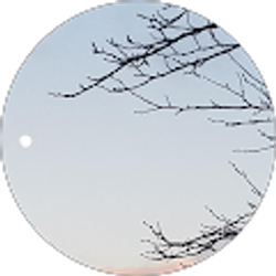 Profile photo of Albert Montes