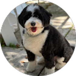 Profile photo of Vivian M