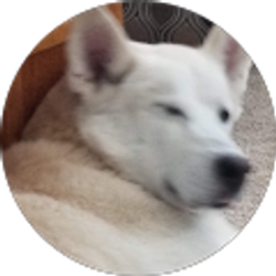 Profile photo of Duane Revell