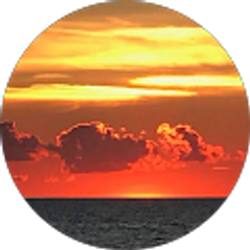 Profile photo of Martin Mozes