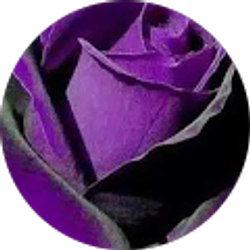 Profile photo of Ramona Hasan