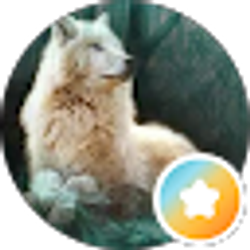 Profile photo of W. N.