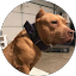 Profile photo of Ace Joyner