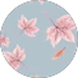 Profile photo of Marcia A Vidal Marchetti