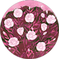 Profile photo of lys