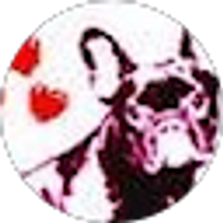 Profile photo of Sandy Grace