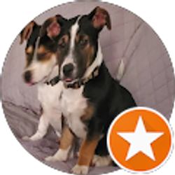 Profile photo of Connie Carlyle