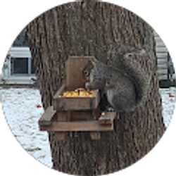 Profile photo of Leslie Montgomery