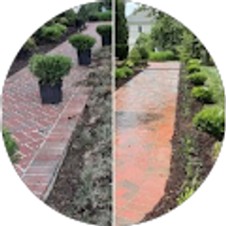 Profile photo of David Aguilar