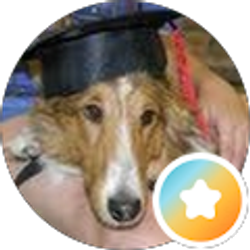 Profile photo of Dr Doug