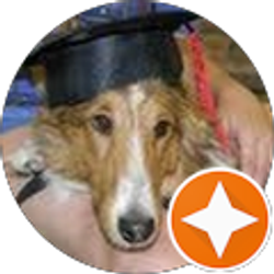 Profile photo of Dr Doug