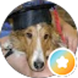 Profile photo of Dr Doug