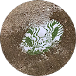 Profile photo of Morgan Wolfwood