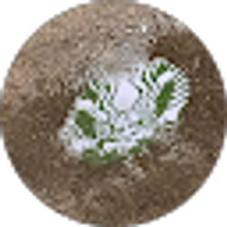 Profile photo of Morgan Wolfwood