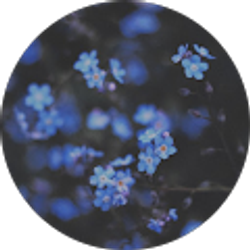 Profile photo of jaxaejra Zepeda
