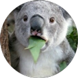 Profile photo of Gaming G