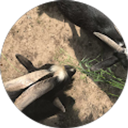 Profile photo of Zach N