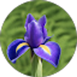 Profile photo of Chris A'Harrah Lee