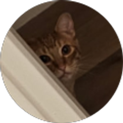 Profile photo of Ryan Abdullah